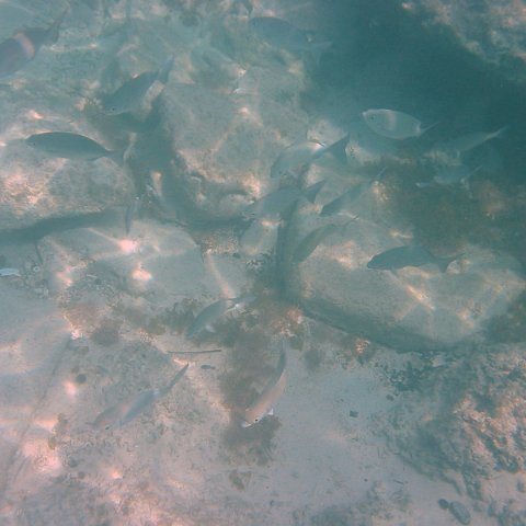 IMG_4644 IMG_4644