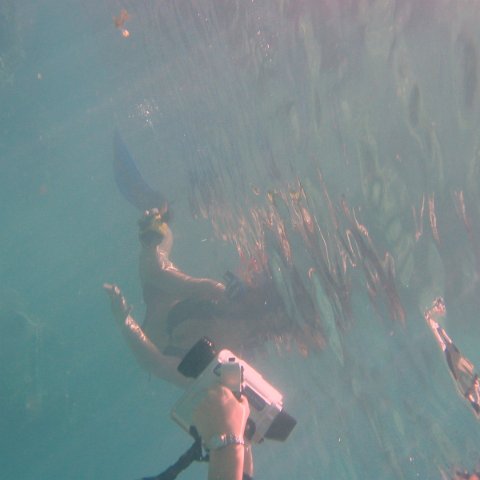IMG_4645 IMG_4645