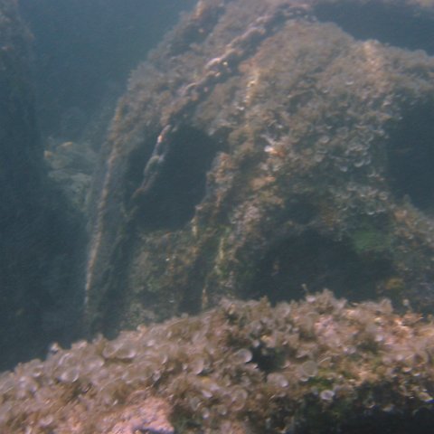 IMG_4647 IMG_4647