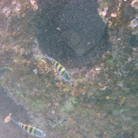IMG_4651 IMG_4651