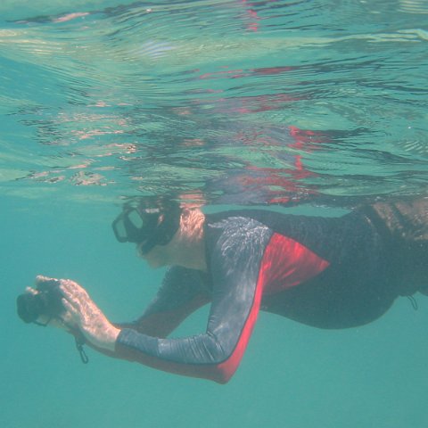 IMG_4652 IMG_4652