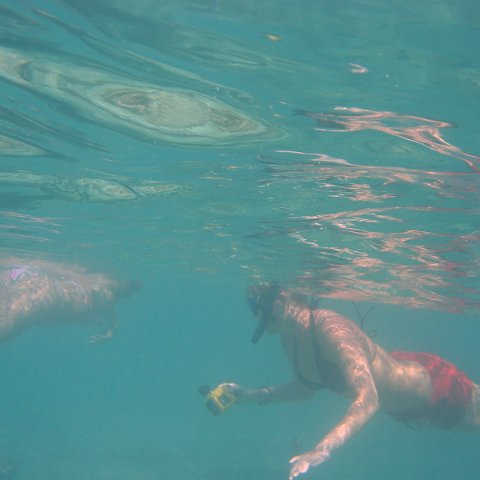 IMG_4653 IMG_4653