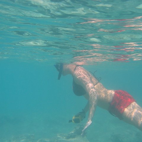 IMG_4654 IMG_4654