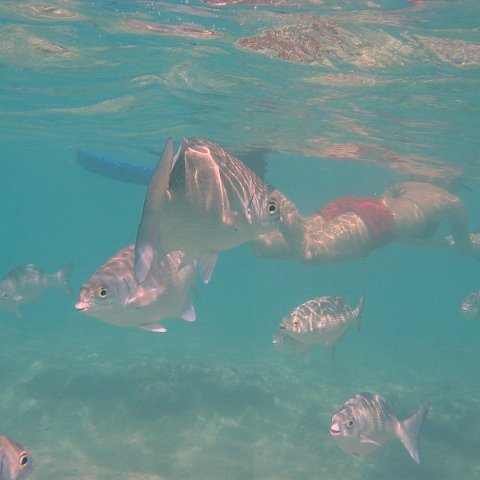 IMG_4656 IMG_4656