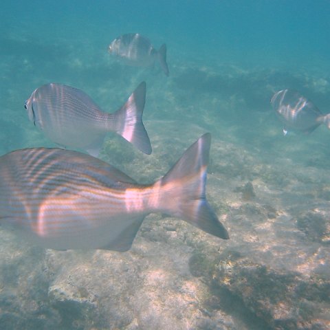 IMG_4657 IMG_4657