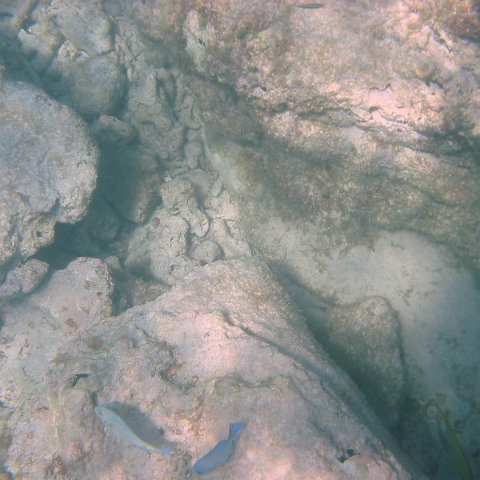 IMG_4658 IMG_4658