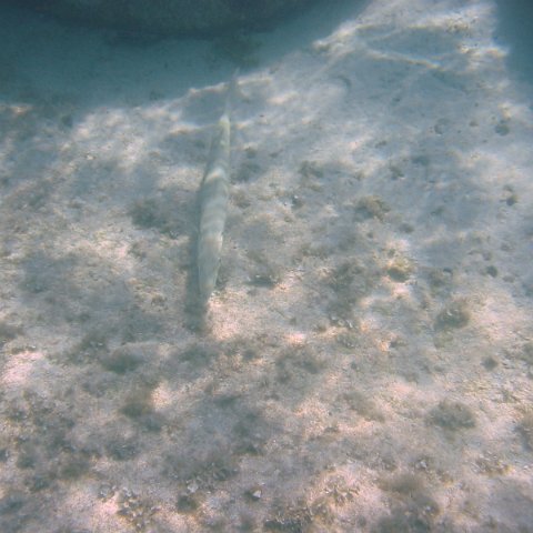 IMG_4659 IMG_4659