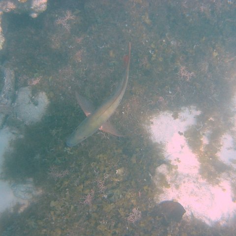 IMG_4660 IMG_4660