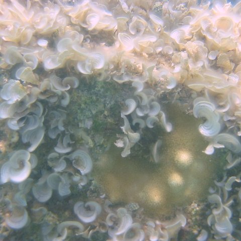 IMG_4664 IMG_4664