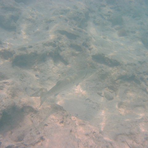 IMG_4665 IMG_4665