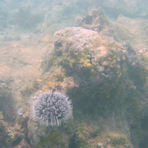 IMG_4666 IMG_4666
