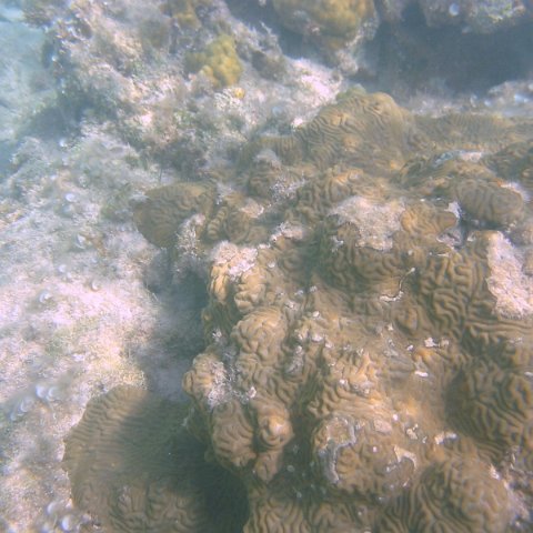 IMG_4667 IMG_4667