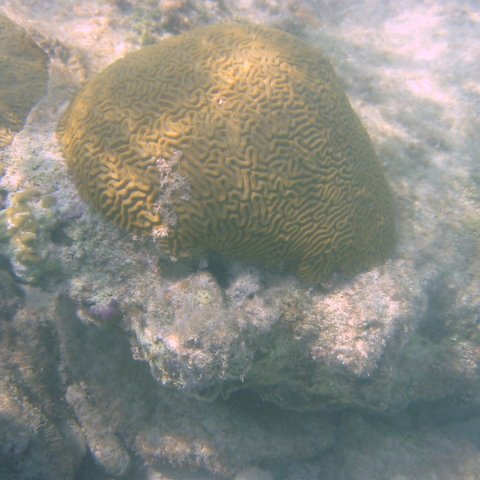 IMG_4668 IMG_4668