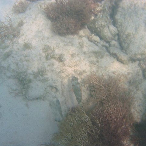 IMG_4669 IMG_4669