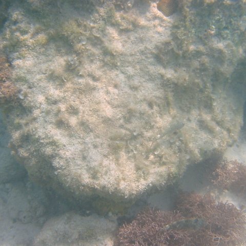 IMG_4670 IMG_4670