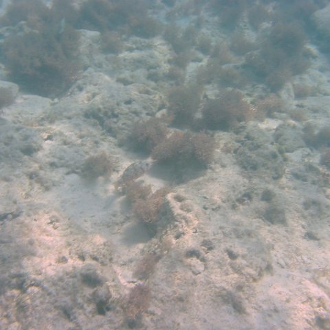 IMG_4671 IMG_4671