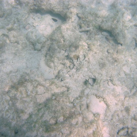 IMG_4672 IMG_4672