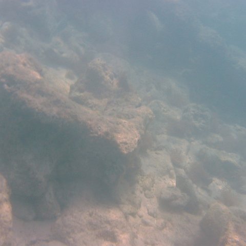 IMG_4673 IMG_4673