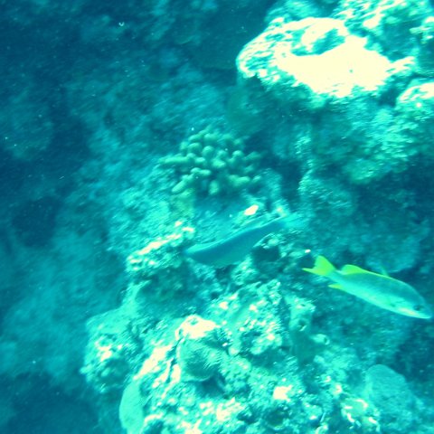 Img_4695 Img_4695