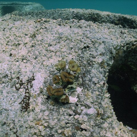 IMG_0053 IMG_0053