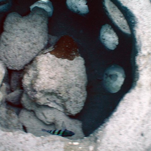 2005sept27tgcmtolympust006 2005sept27tgcmtolympust006