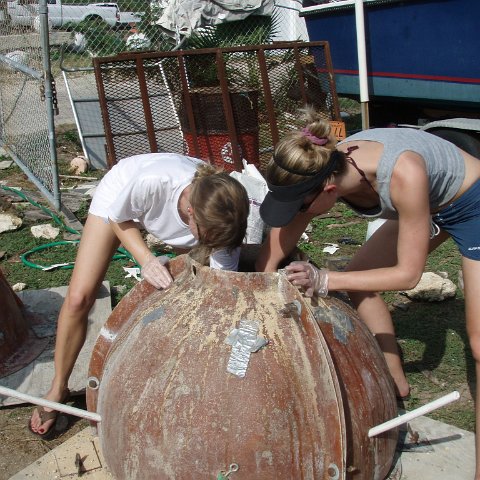 reefball 071 reefball 071