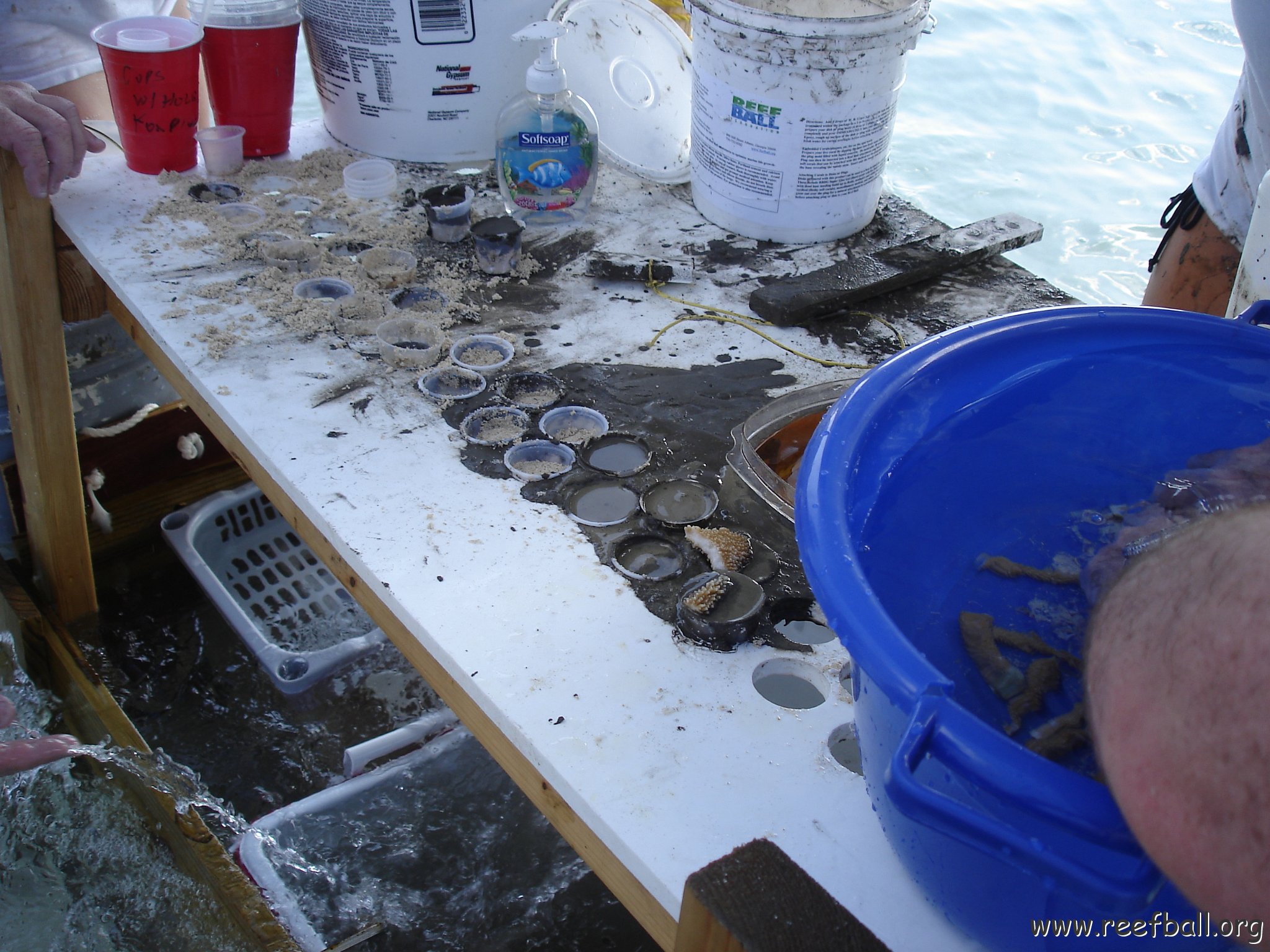 Larry_Grand_Cayman_070301 291 