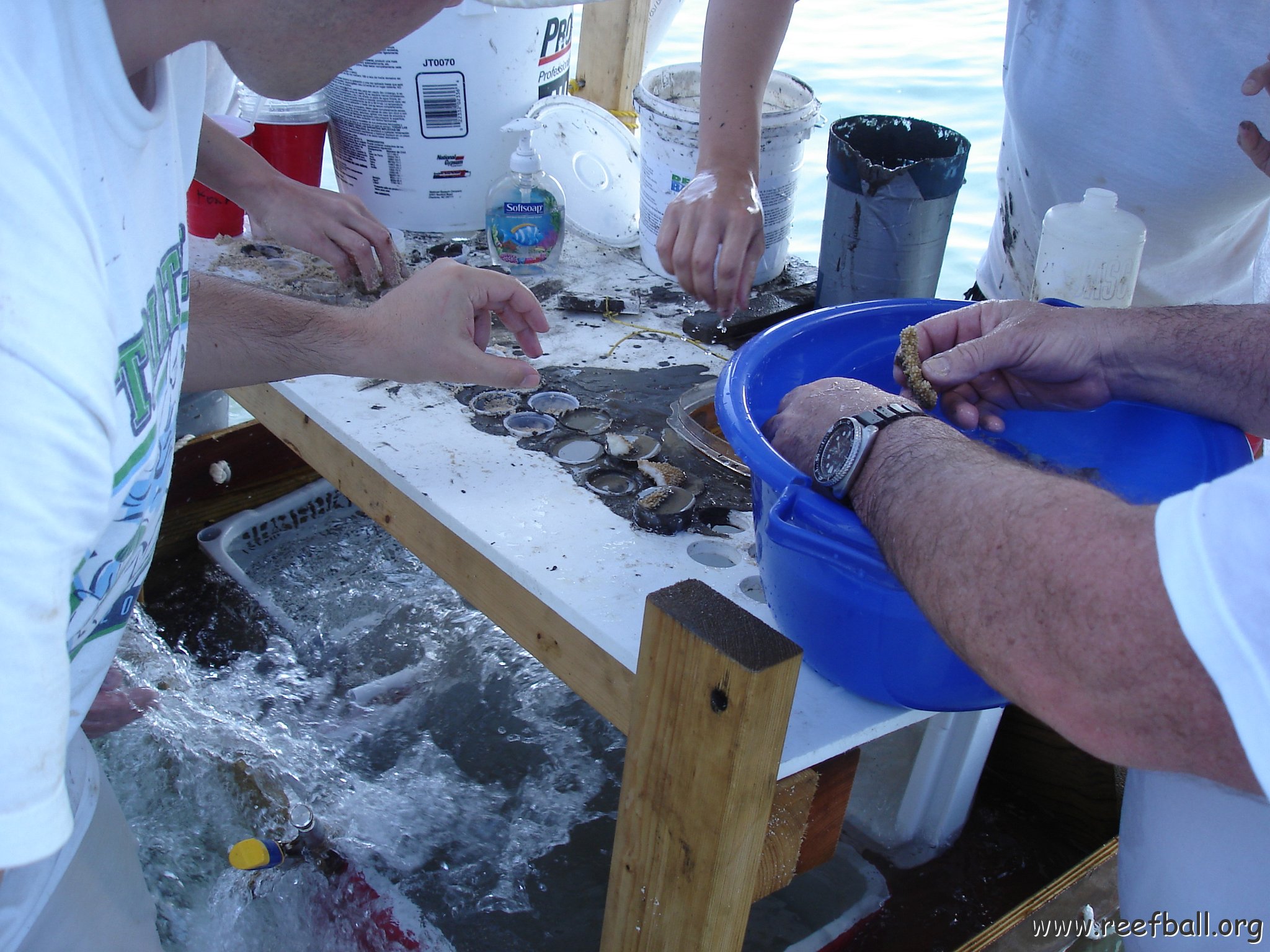Larry_Grand_Cayman_070301 292 