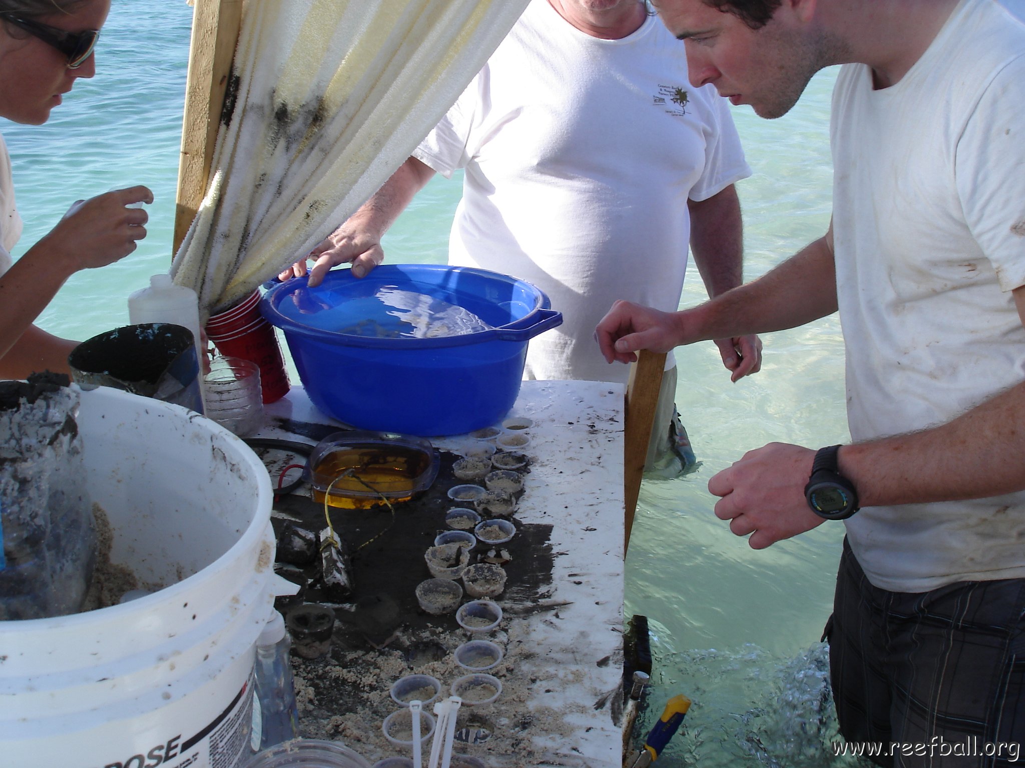 Larry_Grand_Cayman_070301 301 