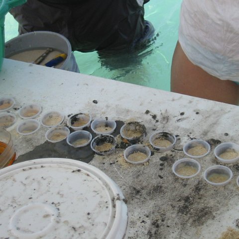 IMG_0018 IMG_0018