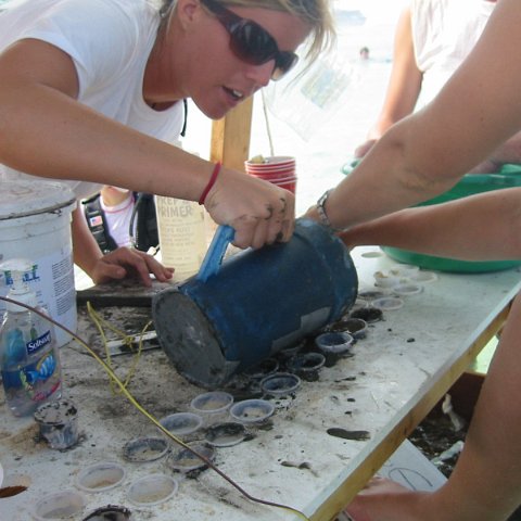 IMG_0044 IMG_0044
