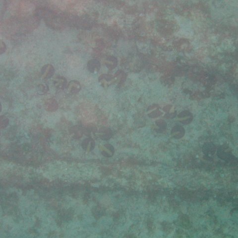 IMG_0026 IMG_0026