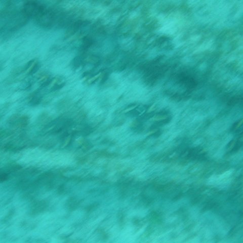 IMG_0027 IMG_0027