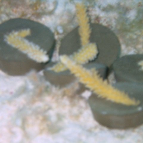 IMG_0029 IMG_0029