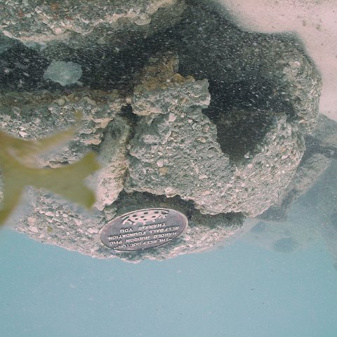 IMG_0115 IMG_0115