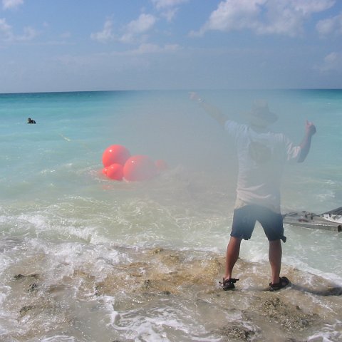 IMG_4878 IMG_4878