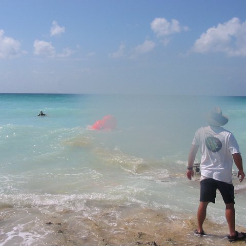 IMG_4879 IMG_4879