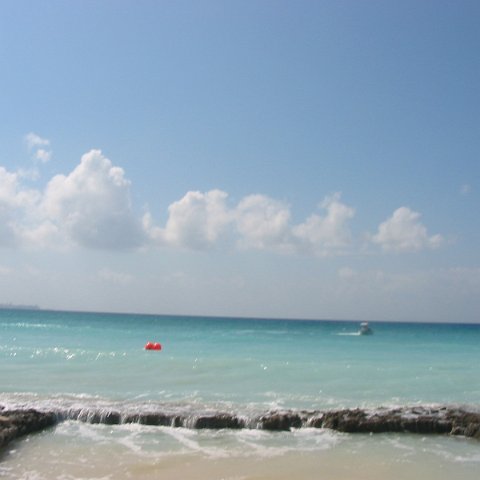 IMG_4880 IMG_4880