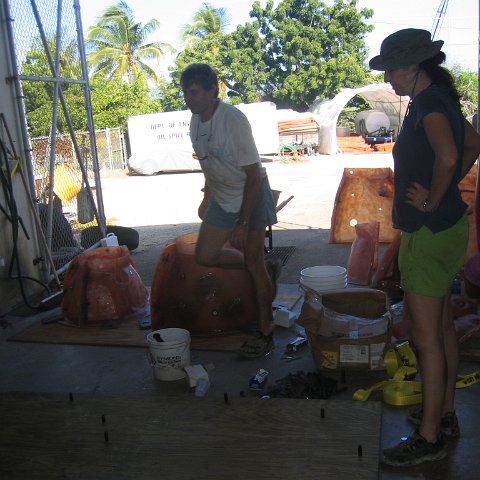 IMG_7212 IMG_7212