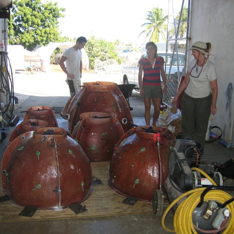 Mold Assembly: First Step was to assemble molds from the factory