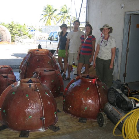 IMG_7226 IMG_7226