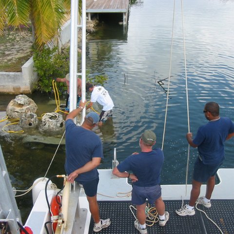 IMG_4733 IMG_4733