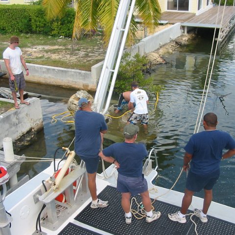 IMG_4735 IMG_4735