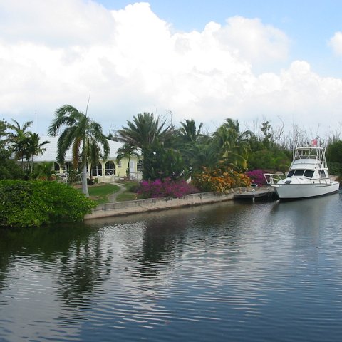 IMG_4736 IMG_4736
