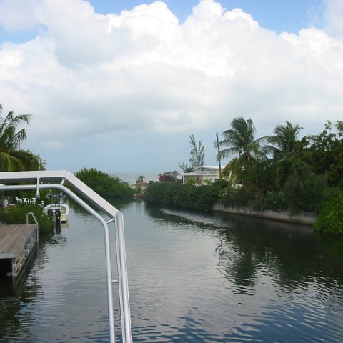 IMG_4737 IMG_4737