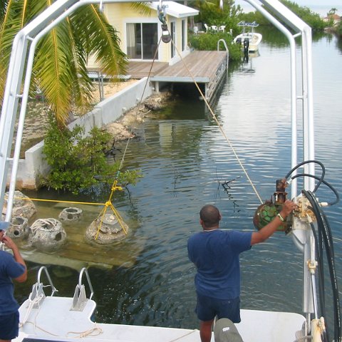IMG_4744 IMG_4744
