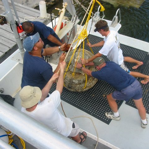 IMG_4771 IMG_4771