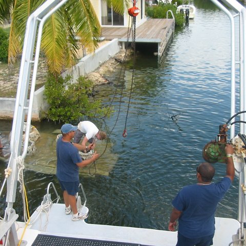 IMG_4773 IMG_4773
