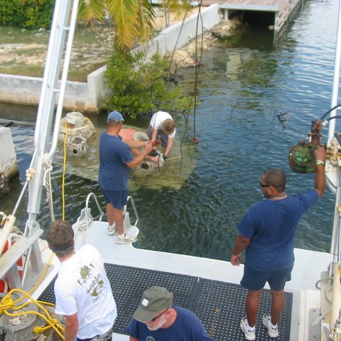 IMG_4774 IMG_4774