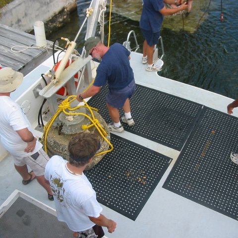 IMG_4775 IMG_4775